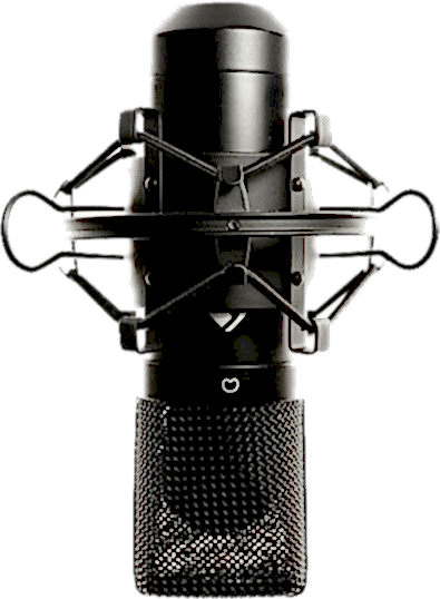 Audiobook, Voice-Over, Dubbing, Advertisement Film, Presentation Film